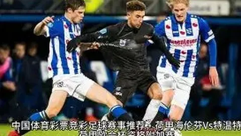 “NBA离队球员雷迪什受多队追捧：京粤沪领跑，CBA与NBA球员争夺战”