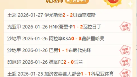 “内部消息：恩佐等球员黄牌累积，巴西赛事恐遭缺席”