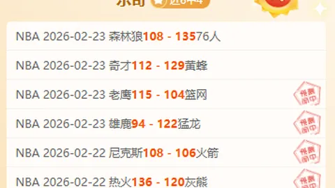 大乐透期号专家推荐：奇才VS猛龙质合分析